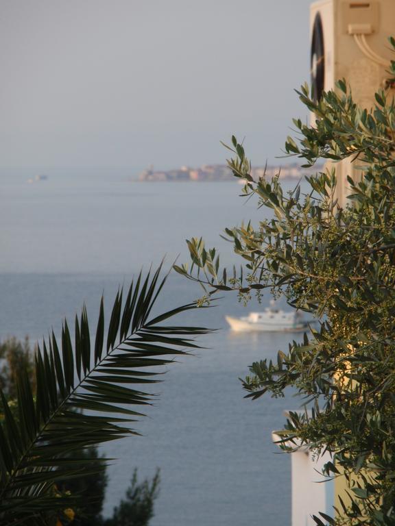 Apartments Salvore Crveni Vrh Quarto foto